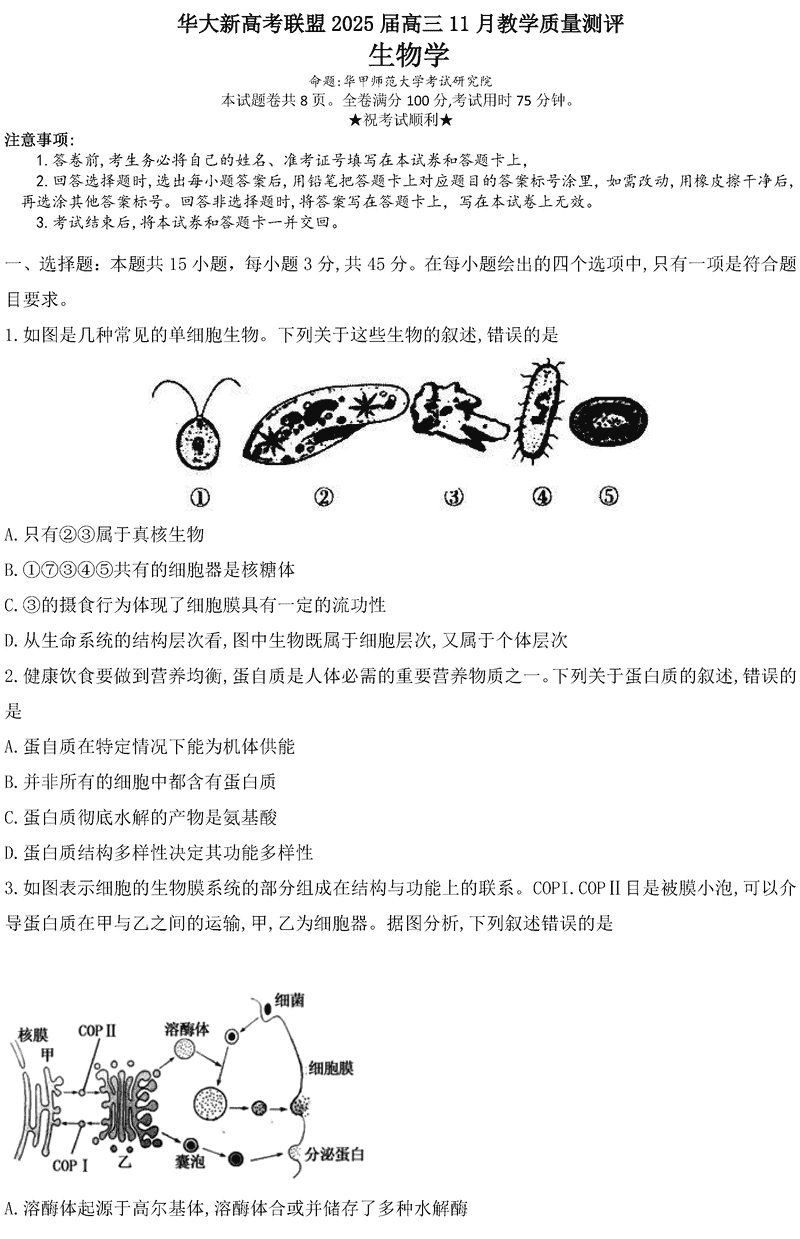 华大新高考联盟2025届高三11月教学质量测评生物试卷及参考答案