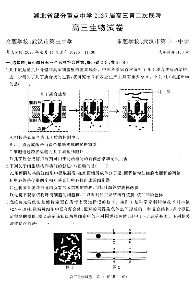 湖北省部分重点中学2025届高三第二次联考生物试卷及参考答案
