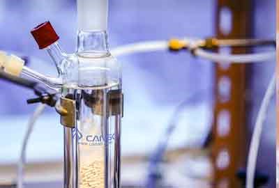 上海工商外国语职业学院应用英语专业怎么样 录取分数线多少