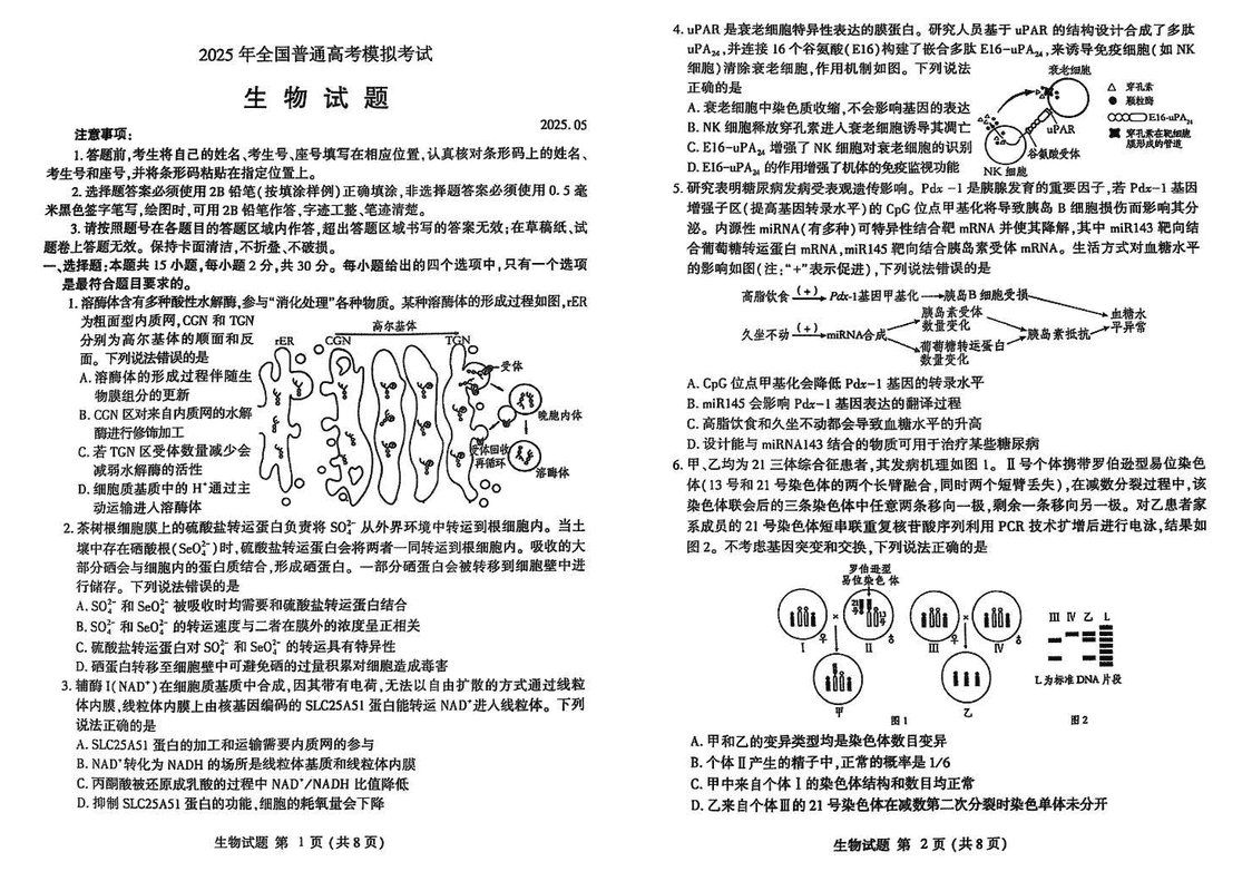 潍坊三模2025届高三下学期高考模拟生物试卷及参考答案