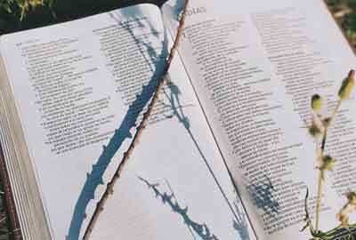 河北交通职业技术学院在广东各专业组录取位次是多少 最低录取341604位(2026年参考)