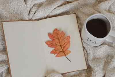 广州华南商贸职业学院在广东各专业组录取位次是多少 最低录取17496位（2026年参考）