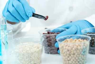 新高考新疆260分左右可以上哪些大学 2026院校名单推荐