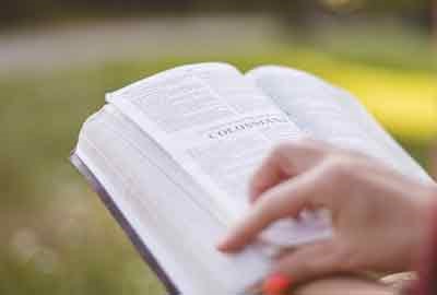 湖北历政生527分左右可以上什么大学及专业 冲稳保院校推荐（2026参考）